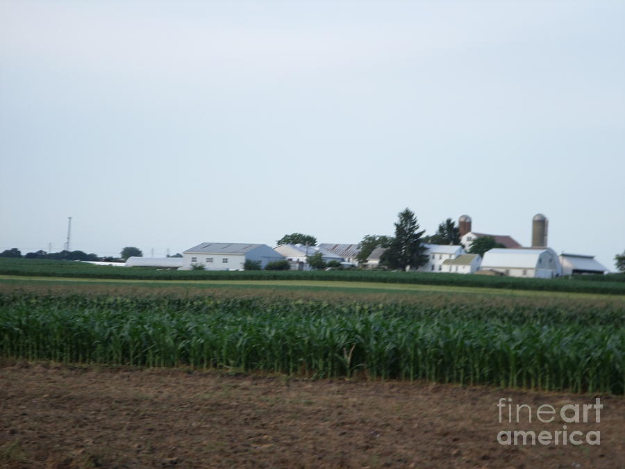 Amish Homestead 9 #1 Photograph by Christine Clark