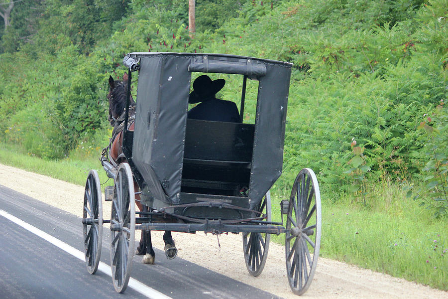Amish Man Buggy Ride #1 Photograph by Brook Burling
