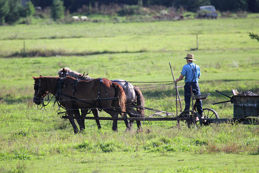 Amish Spreading Manure #1 Photograph by Brook Burling