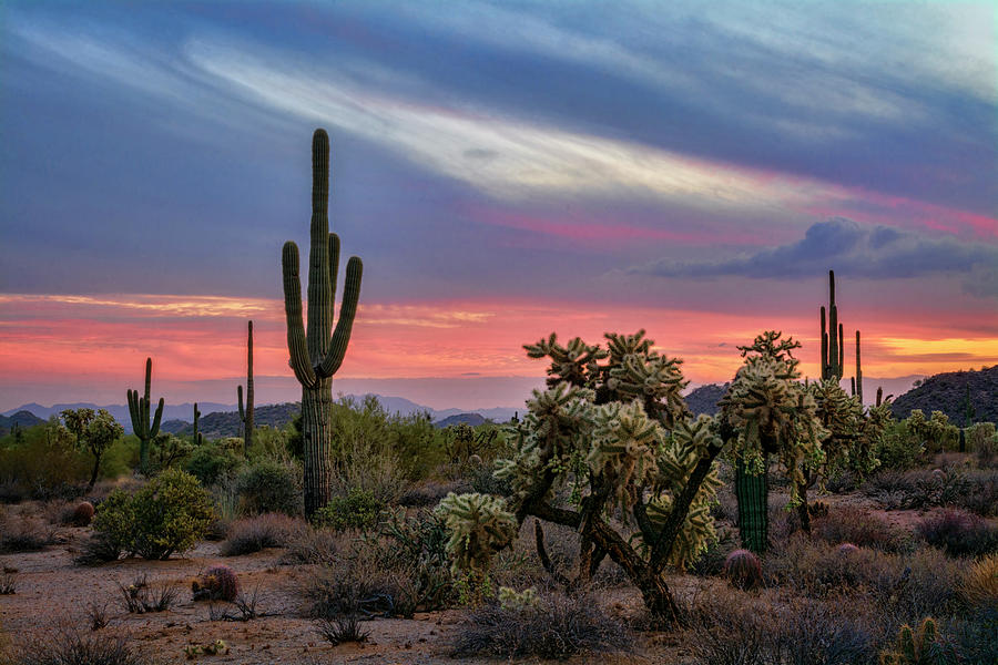 An Enchanted Desert Evening #1 Photograph by Saija Lehtonen - Pixels