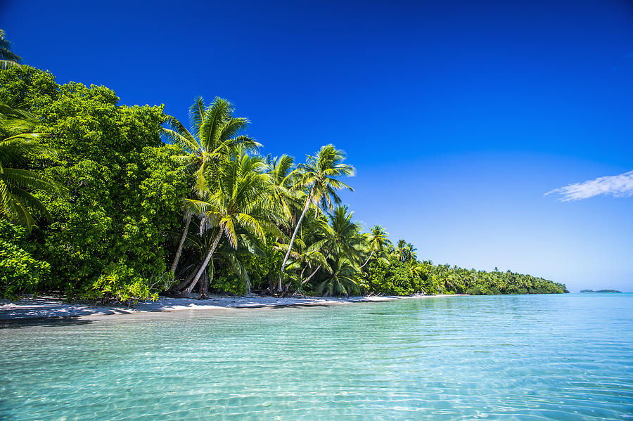 An Island That Forms Part Of The Marine Photograph by David Kirkland ...