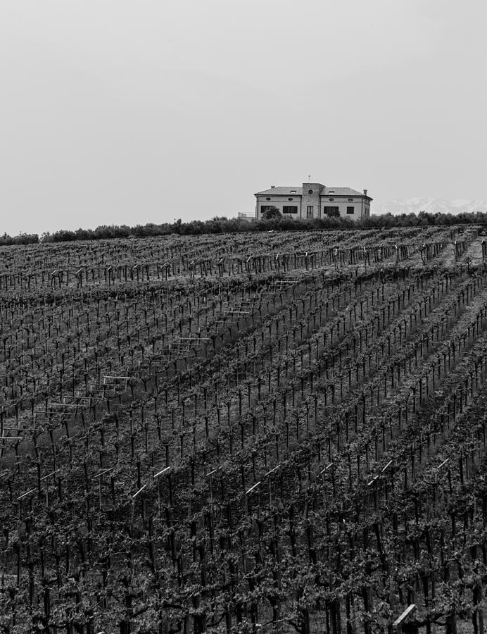 An italian farm in Abruzzo Photograph by AM FineArtPrints