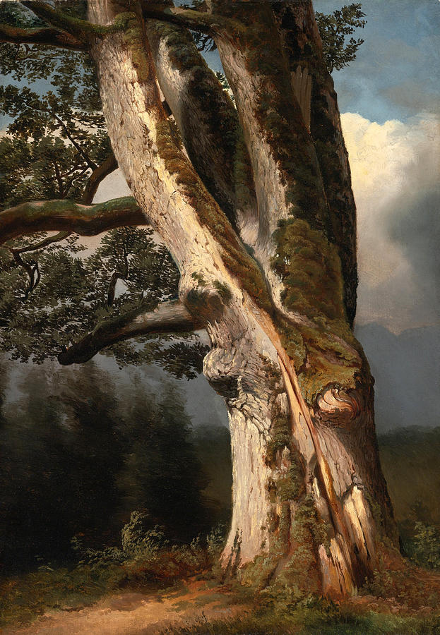 An Oaktree Trunk #2 Painting by Alexandre Calame