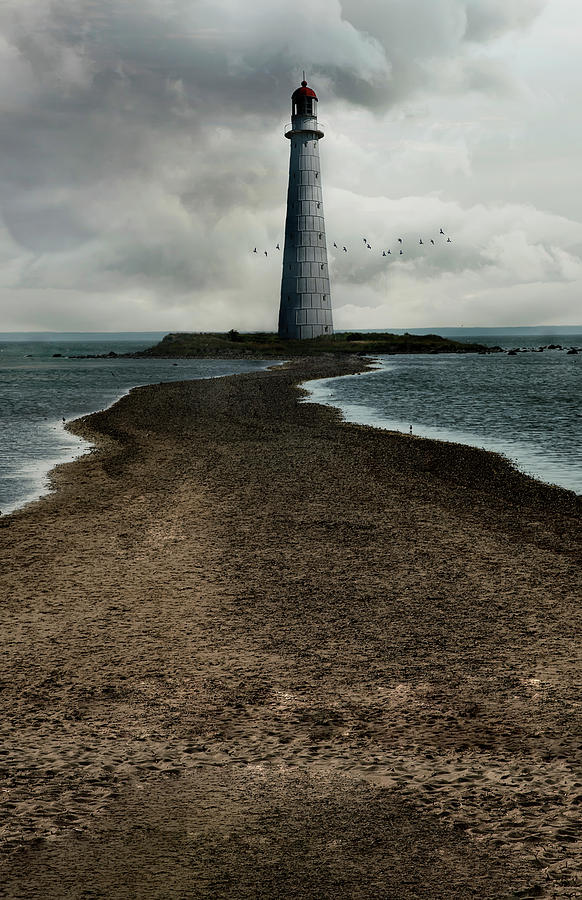 Bird Photograph - An old lighthouse #1 by Jaroslaw Blaminsky