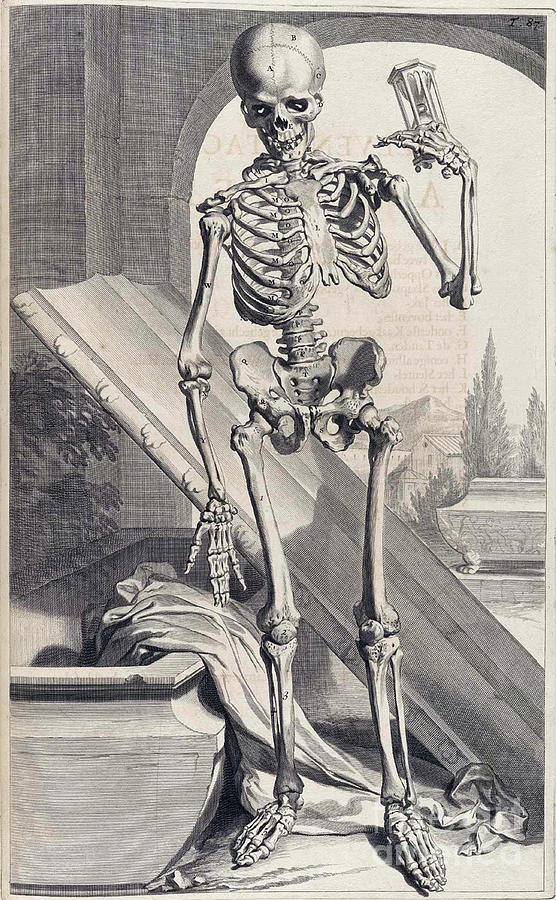 Gerard De Lairesse Photograph - Anatomia Humani Corporis, Table 87, 1690 #1 by Science Source
