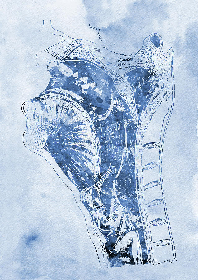 Anatomy head and neck x Digital Art by Erzebet S | Fine Art America