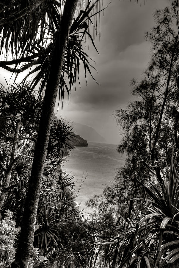Ancient Kauai #1 Photograph by Natasha Bishop