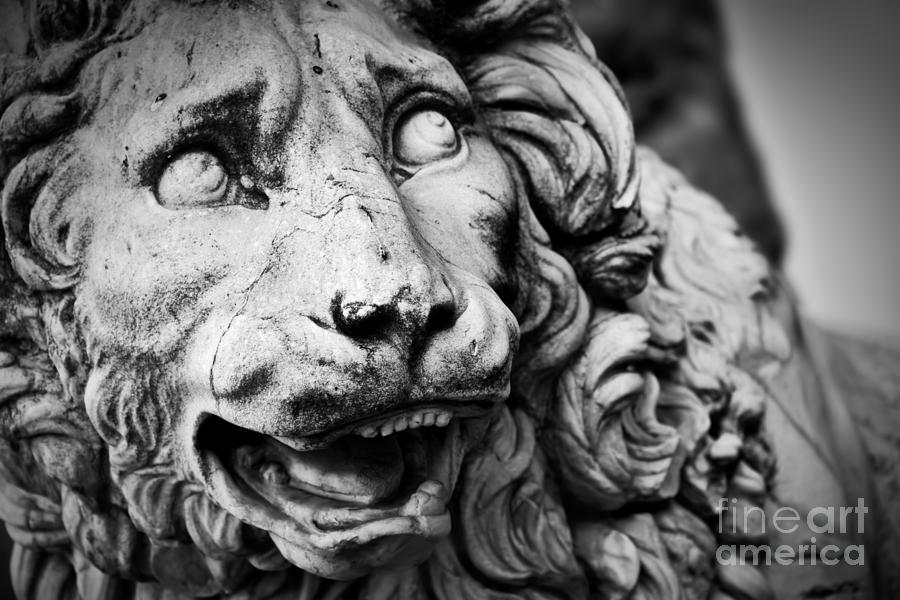 Ancient sculpture of The Medici Lion. Florence, Italy #1 Photograph by Michal Bednarek