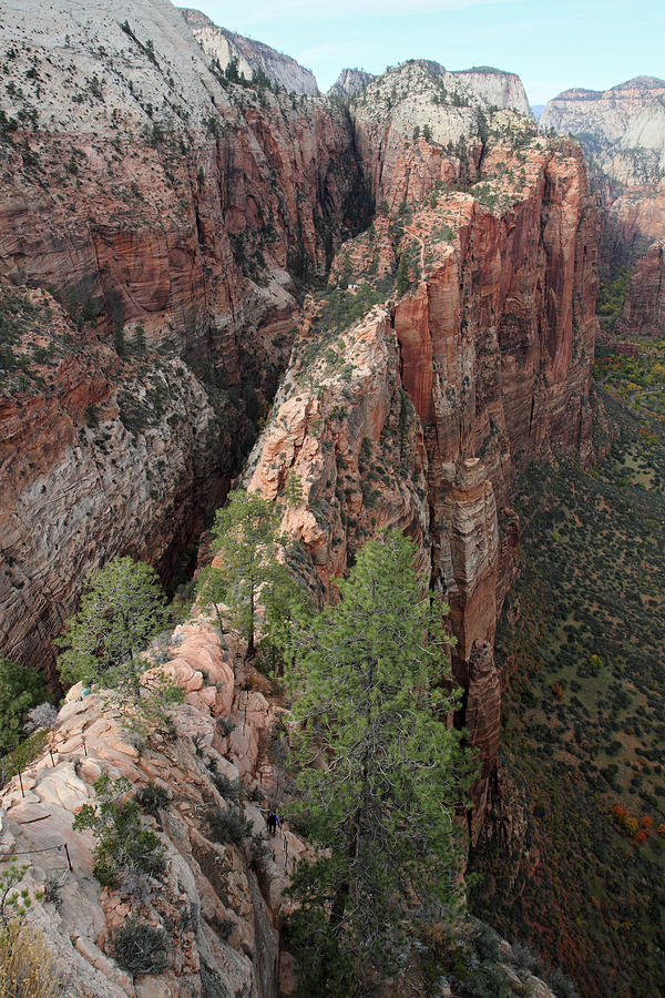 Angels landing in Zion #1 Photograph by Pierre Leclerc Photography