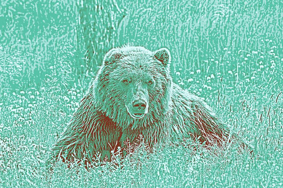 Nature Painting - Animal Posters - Grizzly Bear, ca 2017 by Adam Asar 3 #1 by Celestial Images