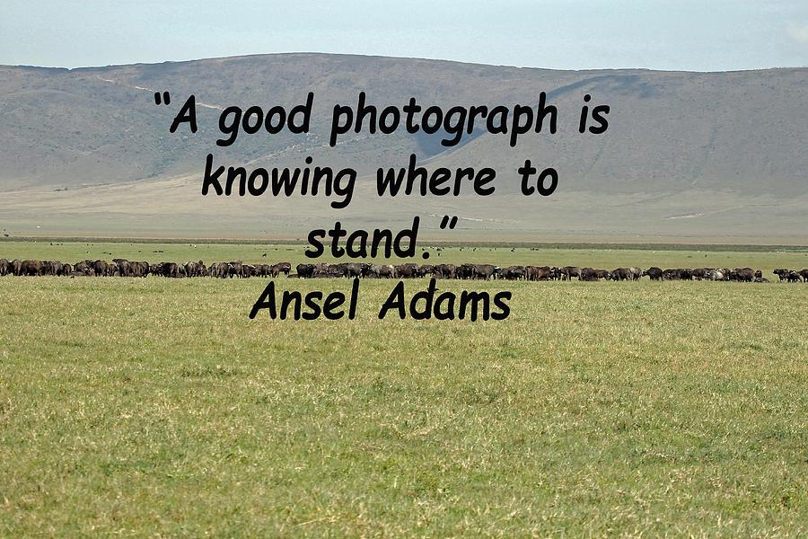 Ansel Adams Quote #1 Photograph by Tony Murtagh