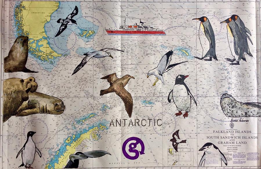 Antarctica Nautical chart #2 Painting by Yvonne Ankerman