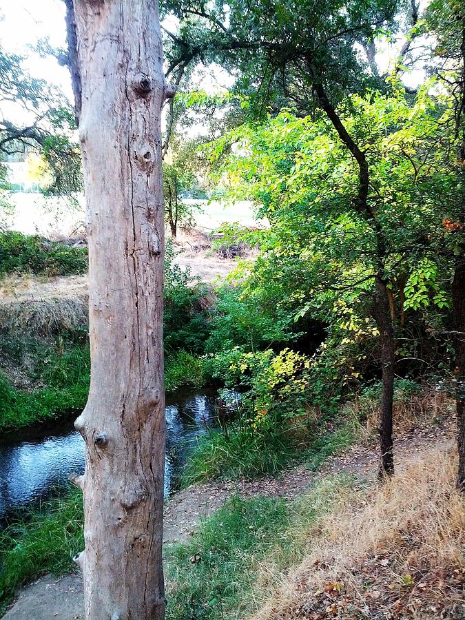 Antelope Creek Rocklin Photograph by Vivian Casey-Kleinfelter - Pixels