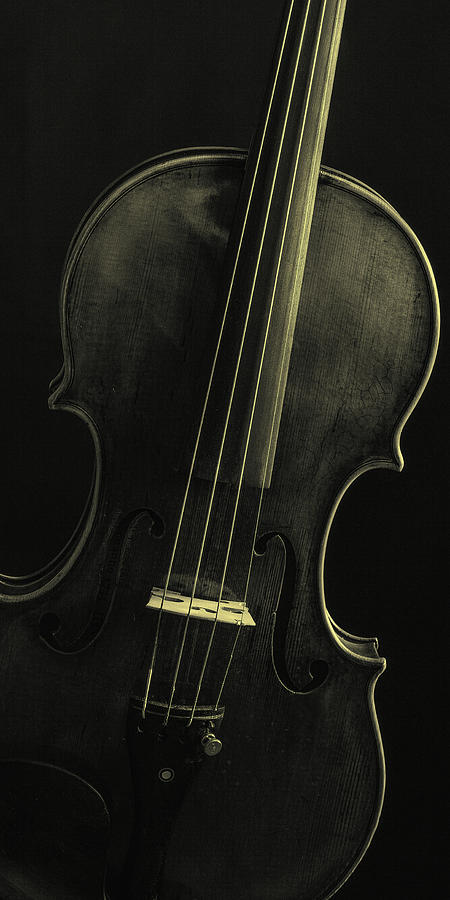  Antique Violin 1732.47 #1 Photograph by M K Miller
