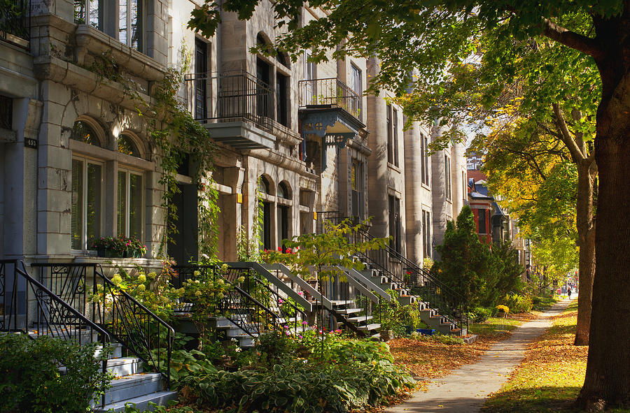 Apartment Buildings Along City Street Photograph by David Chapman ...