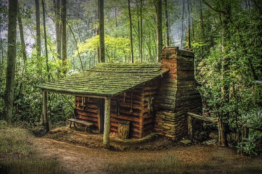 Appalachian Mountain Cabin #1 Photograph by Randall Nyhof
