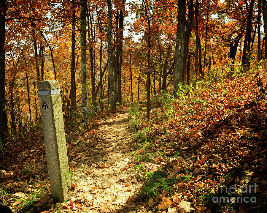 Appalachian Trail in Shenandoah National Park in October #1 Photograph by Louise Heusinkveld