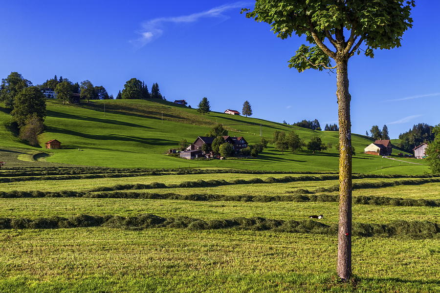 Appenzell Landscape, Switzerland Photograph