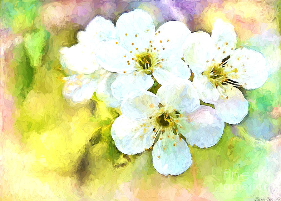 Apple Blossom Painted effect #1 Photograph by Debbie Portwood