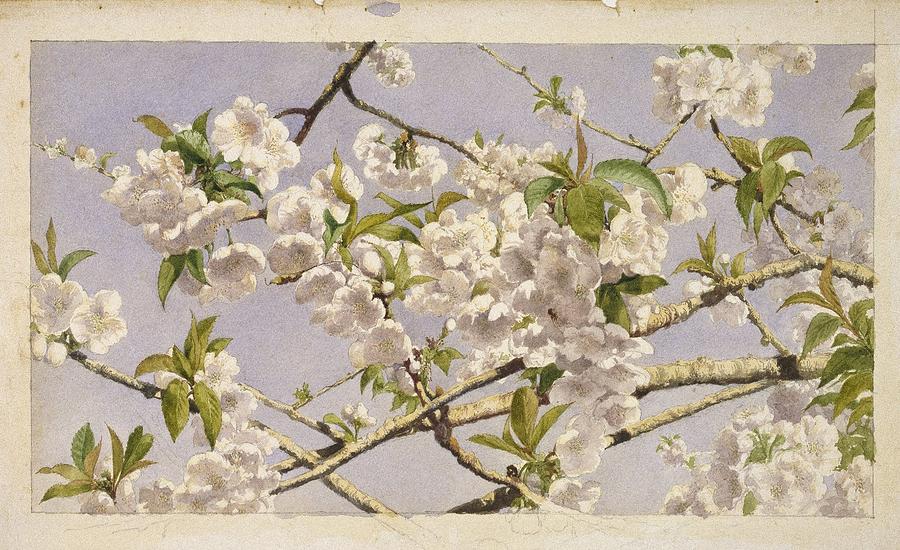 Apple Blossoms Painting By Motionage Designs Fine Art America