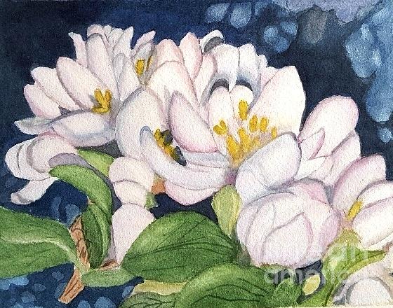 Apple Blossoms Painting by Sue Carmony