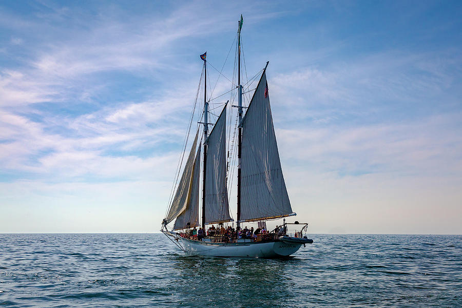 Appledore IV #1 Photograph by Jack R Perry