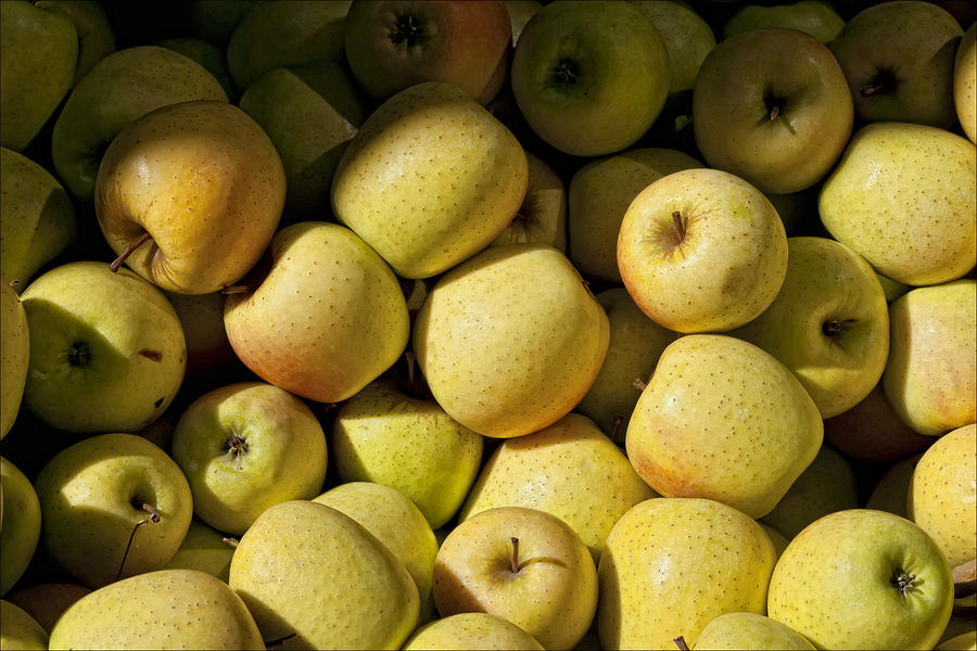 Apples #1 Photograph by Robert Ullmann