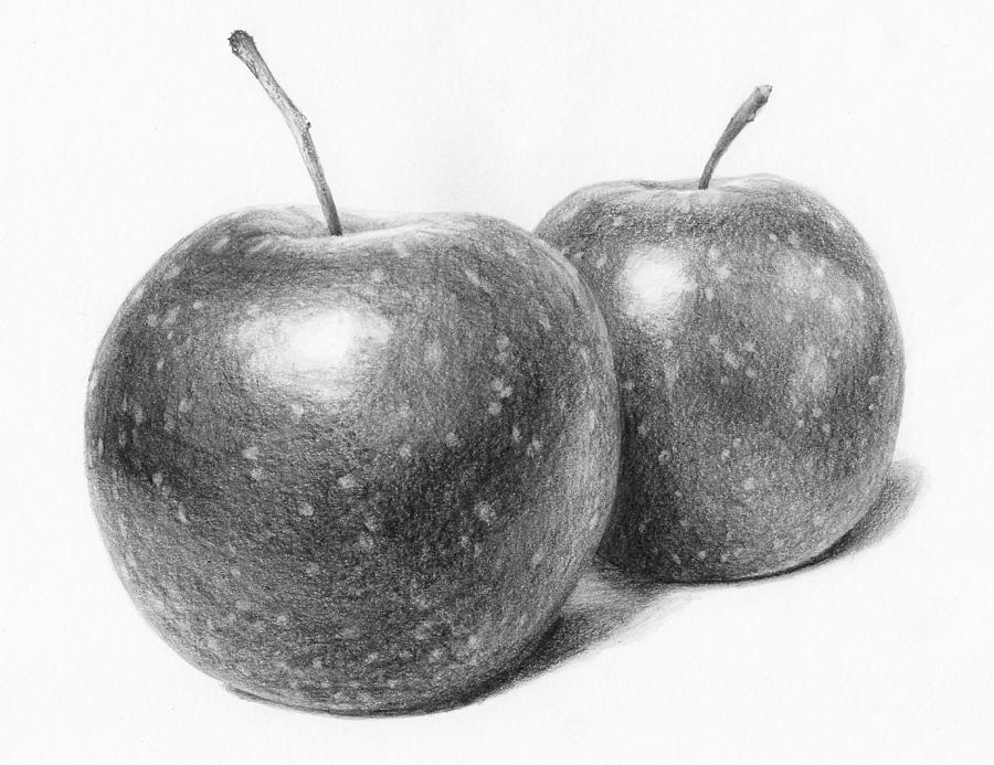 Apples Still Life Drawing by Nolan Clark Pixels