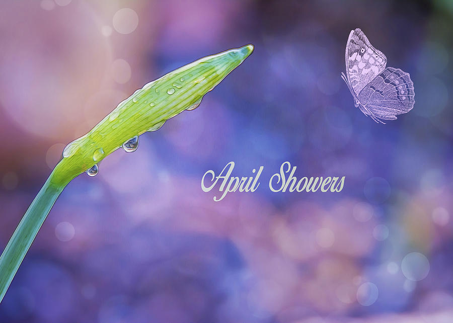 April Showers #1 Photograph by Cathy Kovarik