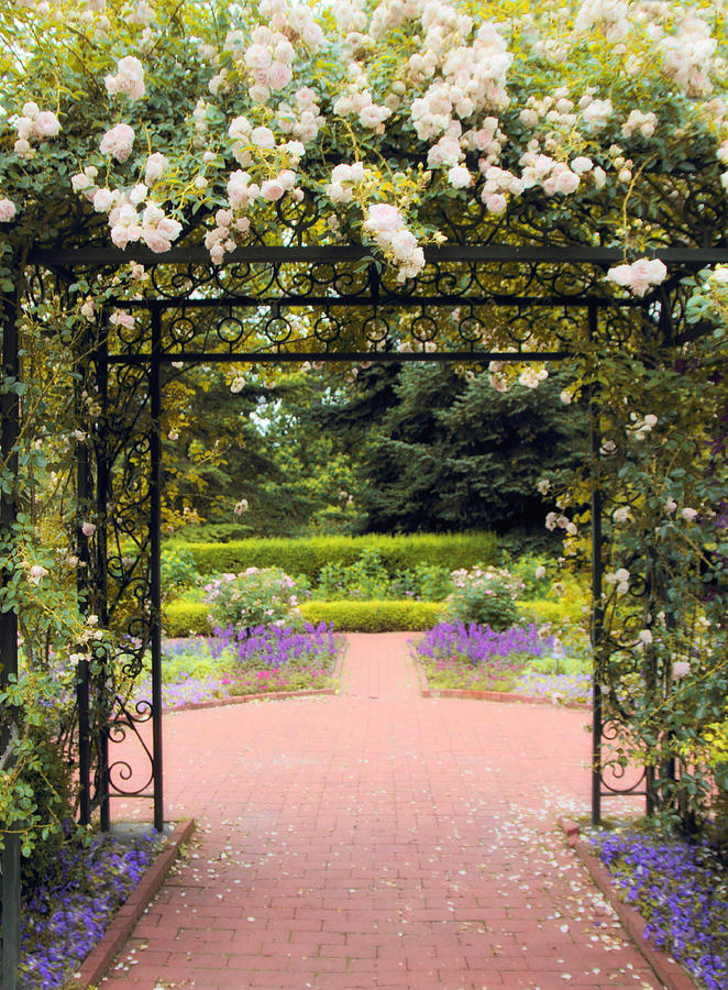 Arbor Entrance Photograph by Jessica Jenney - Fine Art America