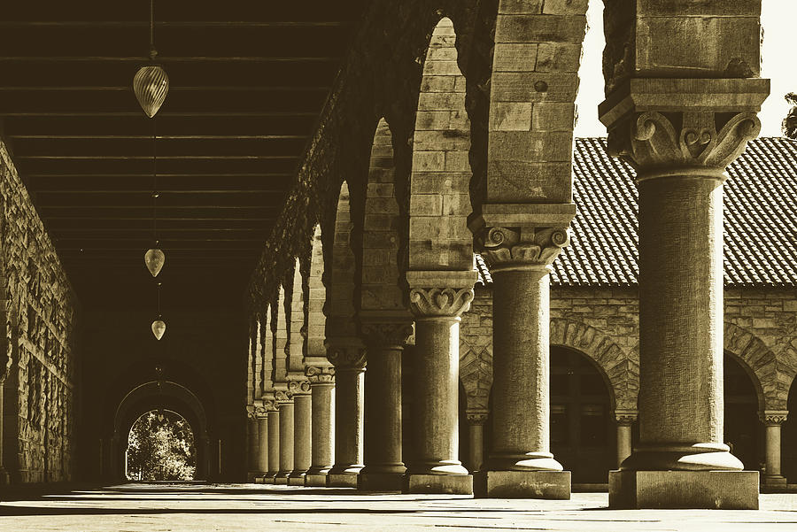 Arches Of Stanford #1 Photograph by Mountain Dreams