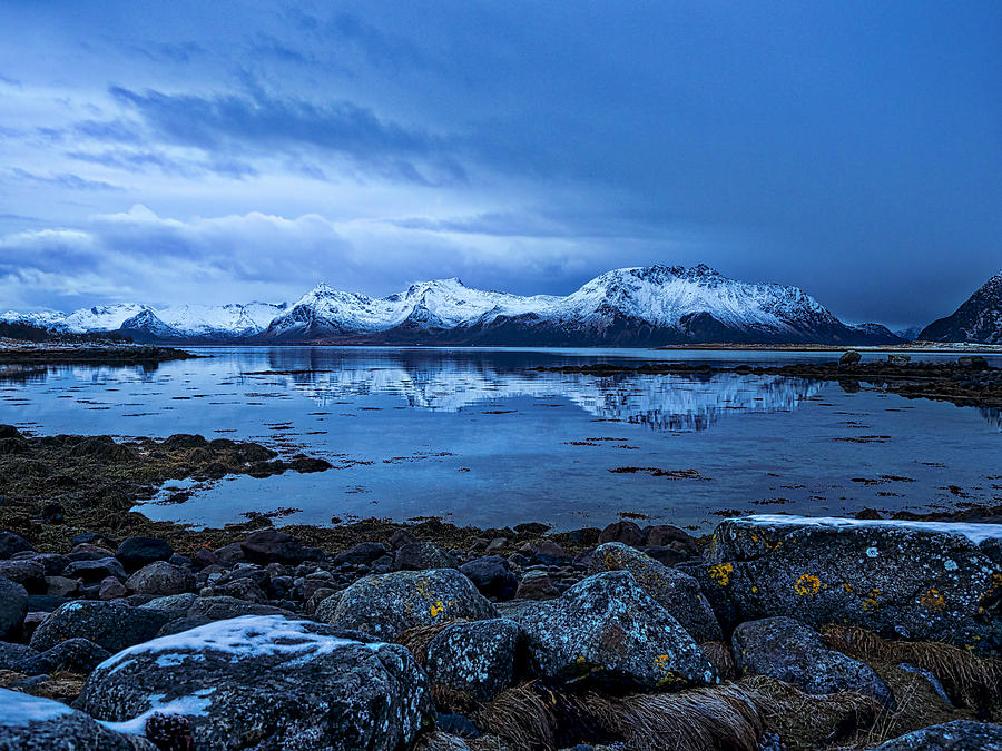 Arctic Reflections #1 Photograph by Mark Llewellyn