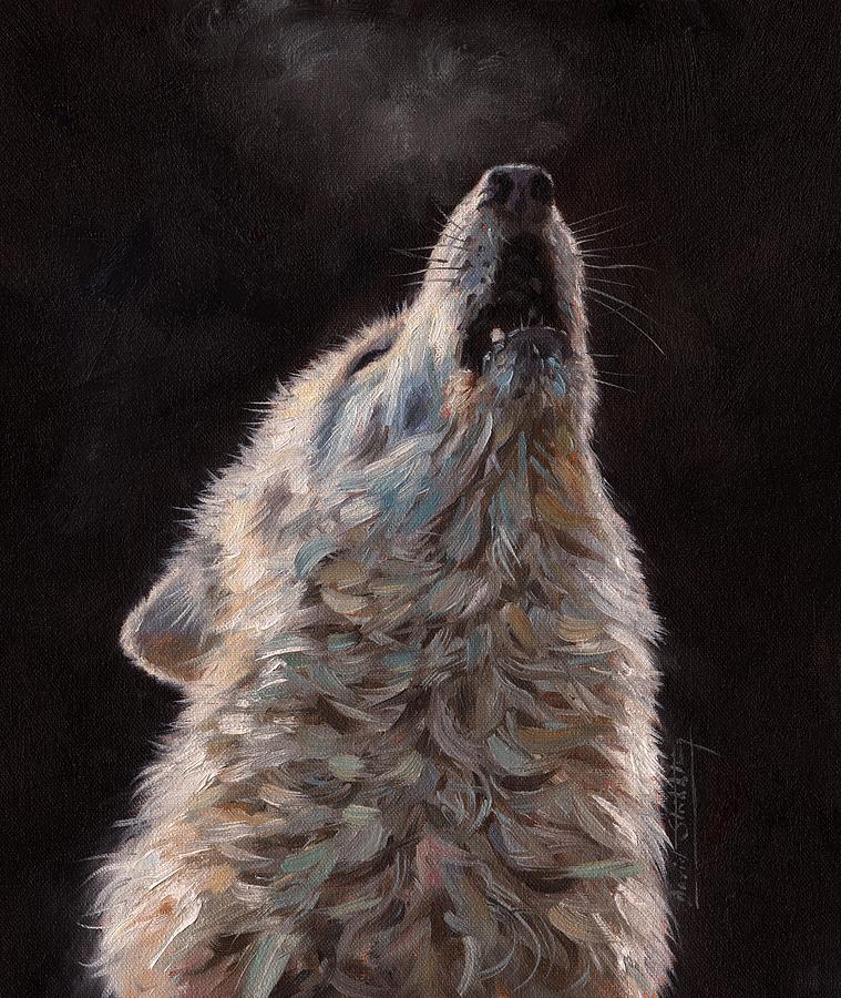 Arctic Wolf #1 Painting by David Stribbling