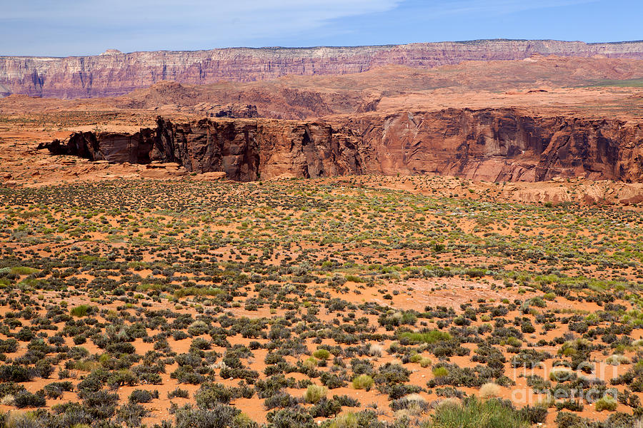 Arizona Desert #1 Photograph by Anthony Totah