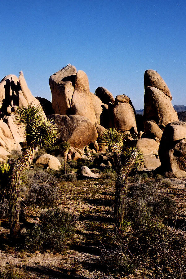 Mountain Photograph - Arizona Desert #1 by Rianna Stackhouse