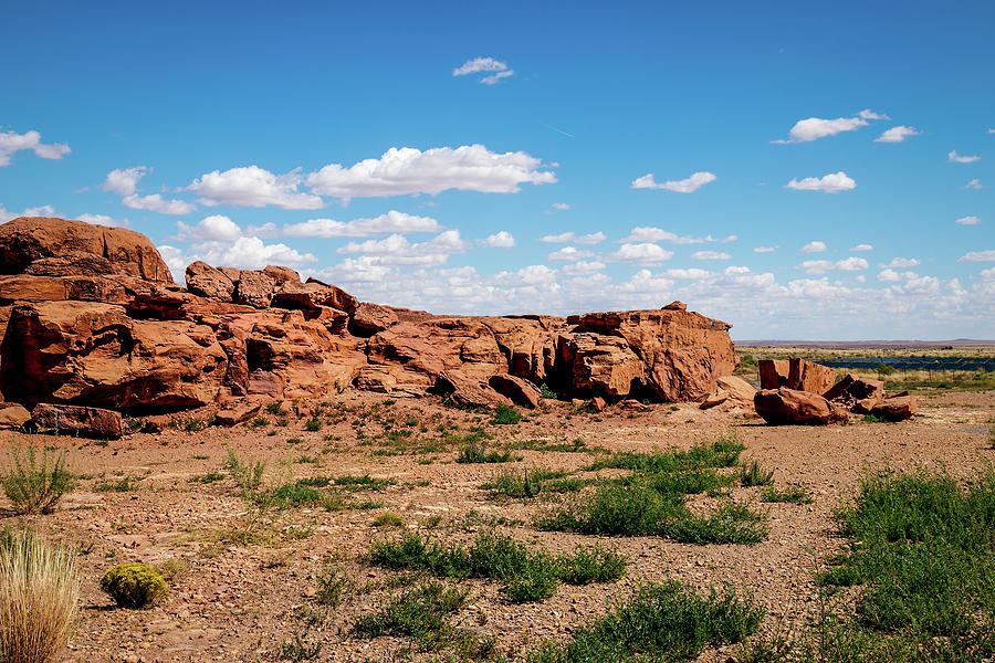 Arizona Landscape #1 Photograph by Doug Long