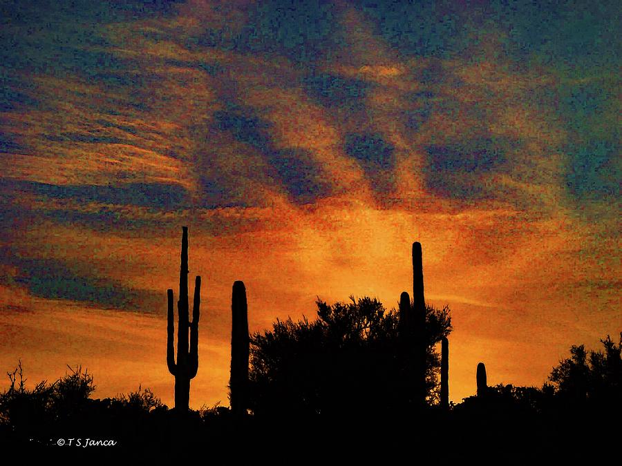 Arizona Saguaro Sunset #1 Digital Art by Tom Janca