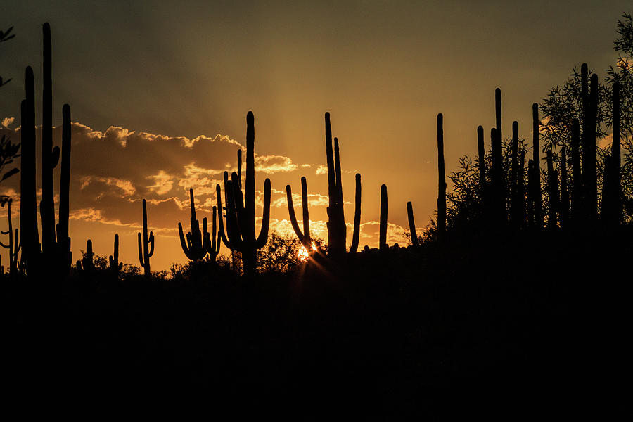 Arizona Sunset #1 Photograph by Dennis Swena