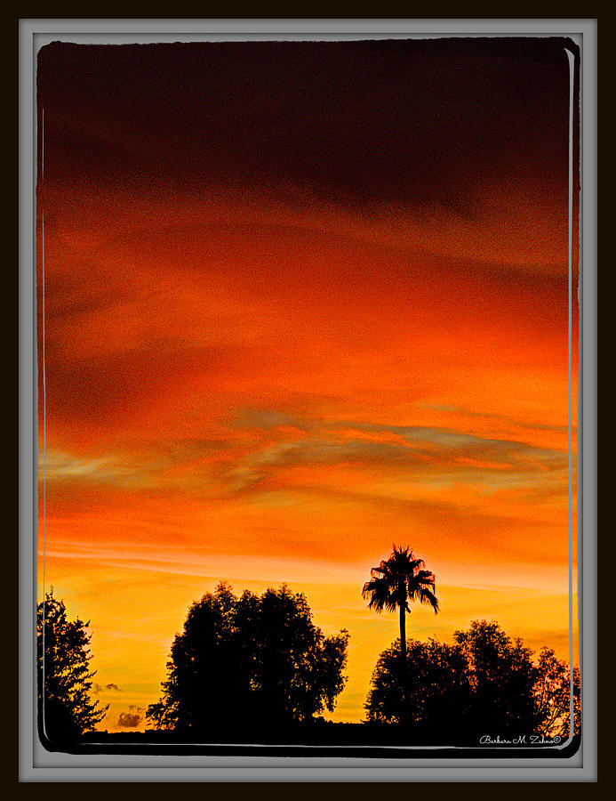 Arizona  Sunset III #2 Photograph by Barbara Zahno