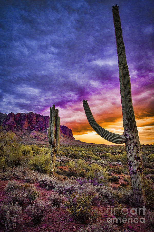 Sunset Photograph - Arizona Sunset #1 by Jon Berghoff