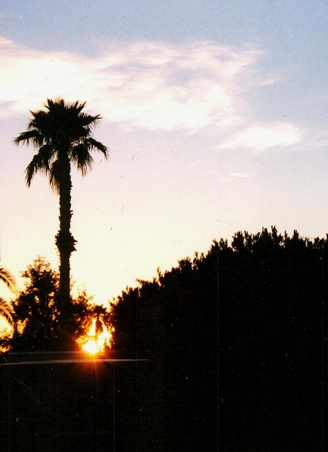 Arizona Sunset #1 Photograph by Lila Mattison