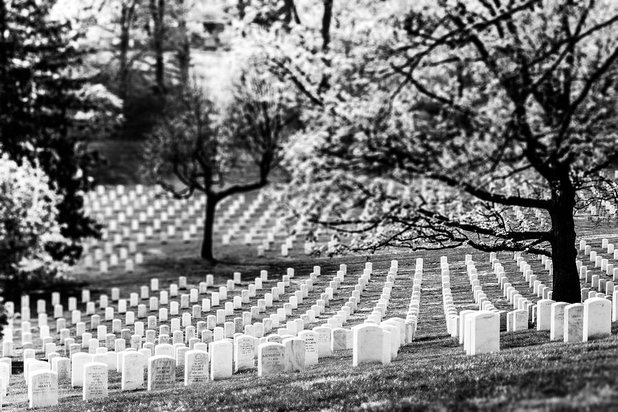 Arlington National Cemetery #1 Photograph by SR Green