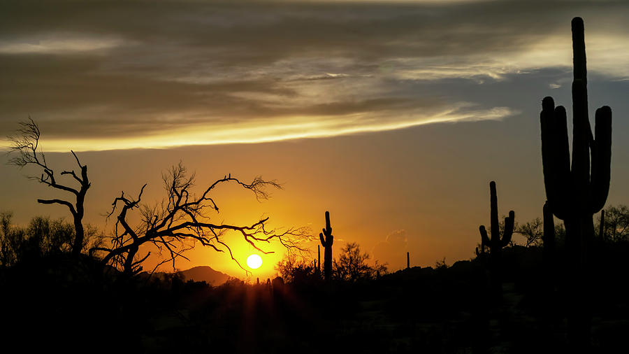 As The Sun Sets On The Sonoran  #2 Photograph by Saija Lehtonen