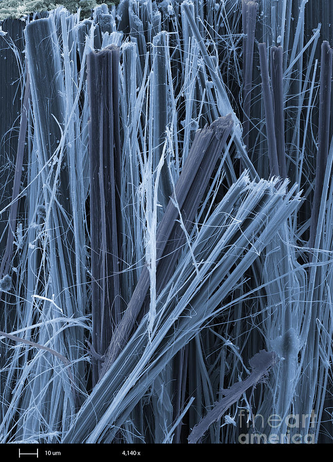 Asbestos, Sem Photograph by Ted Kinsman