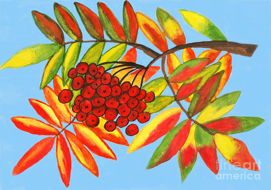 Ashberry, painting #1 Painting by Irina Afonskaya
