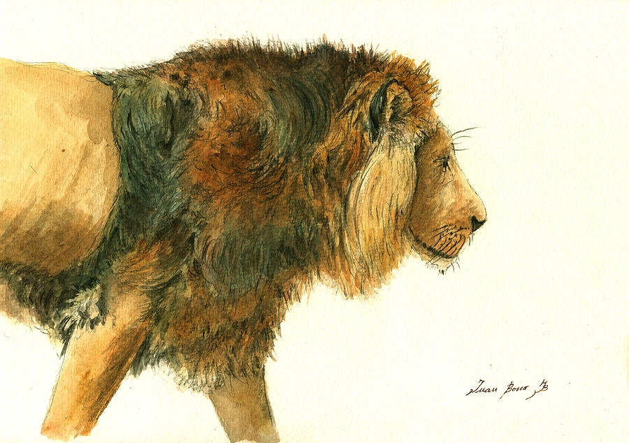 Lion Painting - Asiatic lion #1 by Juan Bosco