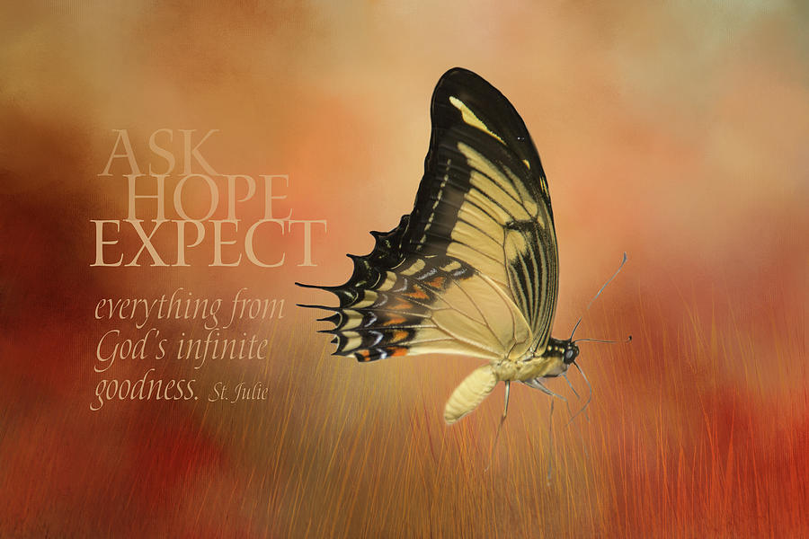 Ask, Hope, Expect Butterfly Digital Art by Terry Davis