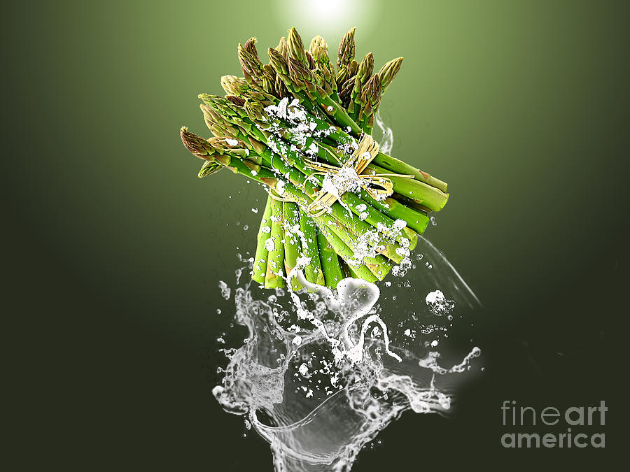 Vegetable Mixed Media - Asparagus Splash #1 by Marvin Blaine