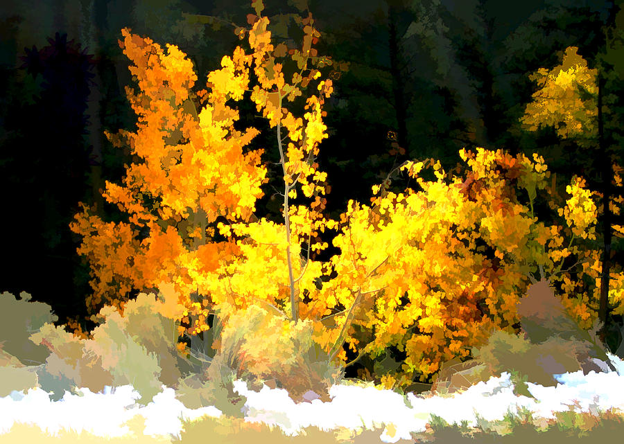 Aspen Glow #1 Digital Art by Gary Baird