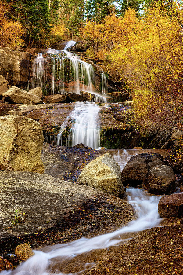 Aspen-Lined Waterfalls #1 Photograph by John Hight
